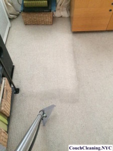 carpet cleaners service